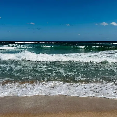 Queen Nelly 4* 普里莫尔斯科