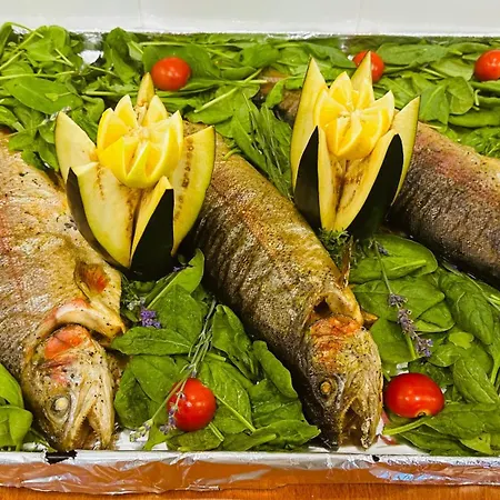 Queen Nelly 普里莫尔斯科